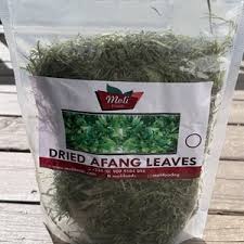 Image result for Gnetum africanum