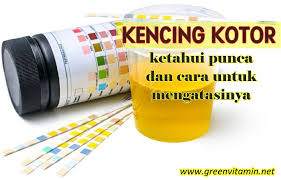 Kencing Kotor Atau Uti Ketahui Bagaimana Mengatasinya Info Kesihatan Uti Info Personal Care