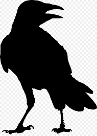 Black And White Ravens Clipart Bird Silhouette Clipart Bird In 2020 Silhouette Art Raven Artwork Crow Silhouette