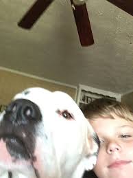 Carson Michael Hurst (@hurst_carson)