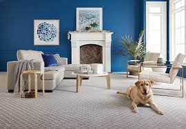 Check spelling or type a new query. Best Flooring For Dogs Durable Stain Resistant Carpet One Floor Home
