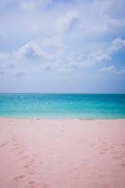 I believe you'll need health app to load test results for test you'd be taking in aruba in order to get back to us. Aruba Covid 19 Entry Requirements Travelers Need To Know Travel Off Path
