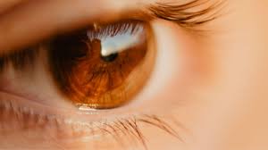 Quando um parasita se aloja no olho, nem sempre há sintomas aparentes e imediatos. O Que E A Toxoplasmose Ocular Hospital De Olhos Do Pantanal