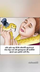 මිතුරු වෙසින් එන සතුරො.. ඡායාරූප සහ වදන් වල මුල් හිමිකරුවන්ට ස්තූතියි.  #ධර්මදානයක්_වේවා #budu_bana #බන #dharma_dana #dharma_deshana #buddhism  #foryou #jayamahabodhi #ජයමහාබෝධි #බොදු_බැතිගී ...