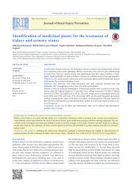 Pdf Identification Of Medicinal Plants For The Treatment Of Kidney And Urinary Stones