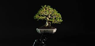 Maybe you would like to learn more about one of these? Offering