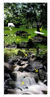 Söderåsens nationalpark är en av sveriges 29 nationalparker och bildades år 2001. Soderasens Nationalpark Svindlande Hojder Pdf Gratis Nedladdning