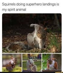 27 Spirit Animal Memes You Don T Wanna Miss Funny Animal Memes Funny Animals Animal Memes