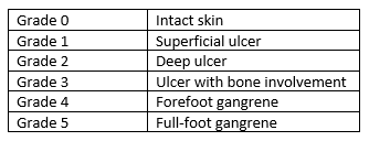 Image result for IDSA Diabetic Foot Wound Classification