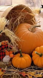 ❤ get the best hd pumpkin wallpaper on wallpaperset. Pumpkin Iphone Wallpaper Pumpkin Winter Squash Calabaza Natural Foods Cucurbita Vegetable Local Food Gourd Fruit Whole Food 2006907 Wallpaperkiss