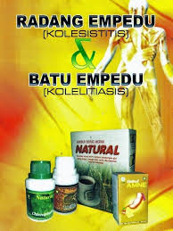 Keracunan makanan serta alergi makanan tertentu. Pengobatan Penyakit Radang Batu Empedu Dengan Nutrisi Herbal Nasa Home Facebook