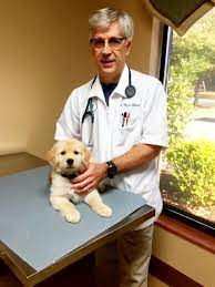 Check spelling or type a new query. Southpark Animal Hospital Pets The O Report