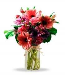 Buy flowers in bulk montreal. Montreal Flower Delivery Florist In Montreal Send Flowers To Montreal Bloomex Canada
