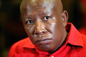 Eff leader julius malema's wife and children live in a luxurious house owned by alleged tobacco smuggler adriano mazzotti. I Don T Have Anything To Hide Malema As Zondo Guns For Eff Leader Allies