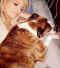 HELLO! ARE YOU READY TO DO BATTLES FOR LOGAN?** This is a Nerf Battle  Fundraiser to help support the Sikiric Family with expenses as their son  Logan battles T-cell acute lymphoblastic