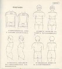 pin by haze extreme on cizim human anatomy drawing human anatomy art anatomy art