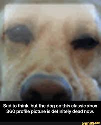Does anyone else now miss the old xbox 360 layout? Sad To Think But The Dog On This Classic Xbox 360 Profile Picture Is Definitely Dead Now Sad To Think But The Dog On This Classic Xbox 360 Profile Picture Is