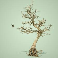 Dead Tree 3d Model Obj Mtl 1 Bonsai Tree Dead Forest Tree Art