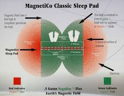 pare magnetic beds and pads