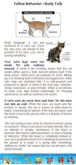 Feline Behavior Body Talk Body Language Is Not Just Restricted To A Cat S Tail From The Way Your Cat Stands To The Positi Cat Behavior Cat Facts Cat Stands
