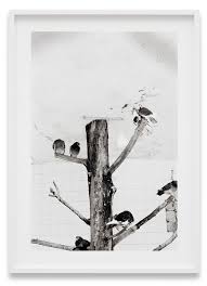 Google has many special features to help you find exactly what you're looking for. Local Talent Group Exhibition Berlin Spruth Magers