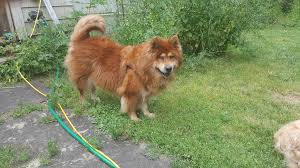 Profile for Bringing in Beauty