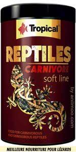 Meilleure Nourriture Pour Lezards De Compagnie Aniimoo