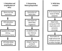 Frontiers Next Generation Sequencing Of Disseminated Tumor