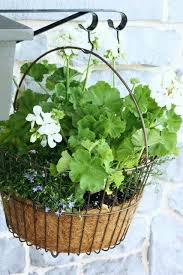 Pin By Ginger On Geranium Cottage With Images Backyard Garden Design Backyard Garden Container Gardening