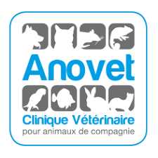 Anovet. Clinique vétérinaire pour animaux de compagnie.