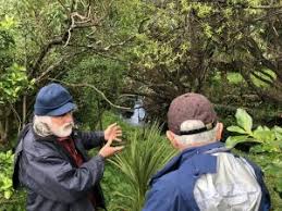 St Lukes Environmental Protection Society » Blog Archive » A successful  final leg of the Mountain to Sea Walk today…