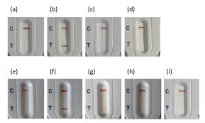 With a lateral flow test, a liquid sample is placed on a small absorbent pad. Diagnostics Free Full Text A Lateral Flow Immunoassay For The Rapid Identification Of Ctx M Producing Enterobacterales From Culture Plates And Positive Blood Cultures Html