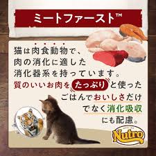 ブランドのギフト ニュートロ ナチュラルチョイス スペシャルケア 穀物フリー アダルト サーモン 成猫用 2kg 猫 キャット 正規品  tracerstudy.stikeswiramedika.ac.id