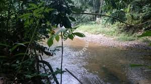 Tanah Dusun Tepi Sungai Land For Sale In Hulu Langat Selangor Selangor Land For Sale Hulu Langat