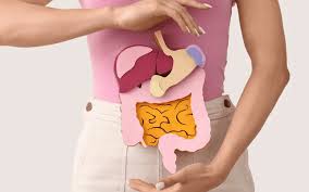 Importance of Digestive Health | Supreme Wellness