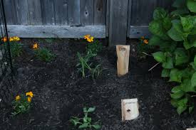How do i keep animals and insects away from garden? Our New Garden And Tips To Keep Animals Out Nesting With Grace