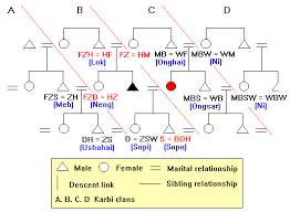 Family Tree Template Family Tree Template Anthropology