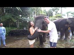 Cute baby elephant bathing india rare video. Elephant Bath Tour Bali Elephant Sanctuary Breakfast Tour Bali