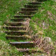 Aussentreppe Selber Bauen So Einfach Geht S Aussentreppe Treppe Bauen Treppe
