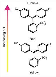 Using Phenol Red To Assess Ph In Tissue Culture Media
