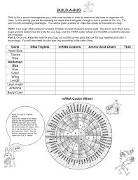 Build A Bug Rubric