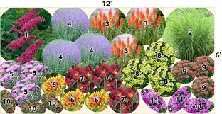 Discover ways you can bring color and beauty to any shady setting with handsome, low maintenance, zone hardy plants. Drought Tolerant Perennial Garden Drought Tolerant Garden Drought Tolerant Perennials Plants