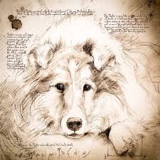 Sheltie Laying Down Detail Of A Da Vinci Style Drawing With Images Dog Art Animal Drawings Drawings