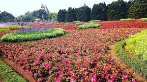 We did not find results for: 7 Taman Bunga Cantik Ini Ada Di Indonesia Bukan Di Luar Negeri Velopedia