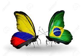 Bandera de colombia bandera de perú. Dos Mariposas Con Banderas En Las Alas Como Simbolo De Las Relaciones De Colombia Y Brasil Fotos Retratos Imagenes Y Fotografia De Archivo Libres De Derecho Image 25491605