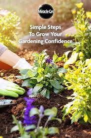 10 Top Gardening Tips For Beginners Gardening Tips Starting A Garden Growing Hibiscus