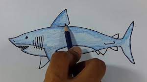 Baby john melihat seluruh keluarga bayi hiu menari di dalam air! Cara Menggambar Dan Mewarnai Ikan Hiu Dengan Mudah Menggunakan Pensil Youtube