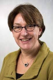 The neurovascular interface