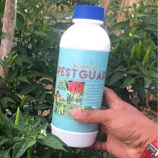 Sekiranya dibiarkan, tanaman akan menjadi kurang produktif. Bioxplus Pestguard Kawalan Serangga Perosak Secara Organik Shopee Malaysia