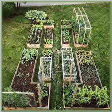 Fantastic Organic Gardening Tips That Really Work In 2020 Vegetable Garden Design Vegetable Garden For Beginners Amazing Gardens